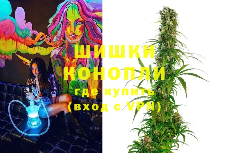 хочу наркоту  Острогожск  Канабис THC 21% 